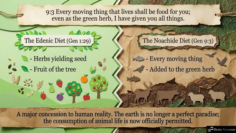 From the diet of Eden to the diet of Noach: every moving thing given as food (Genesis 9:3)