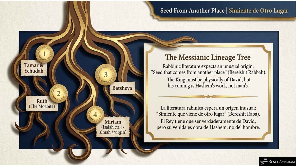Slide "Seed From Another Place | Simiente de Otro Lugar": gold-and-brown paper roots form "The Messianic Lineage Tree," with numbered medallions for "Tamar & Yehudah," "Ruth (The Moabite)," "Batsheva" and "Miriam (Isaiah 7:14 - almah / virgin)." A card reads: "The King must be physically of David, but his coming is Hashem's work, not man's."