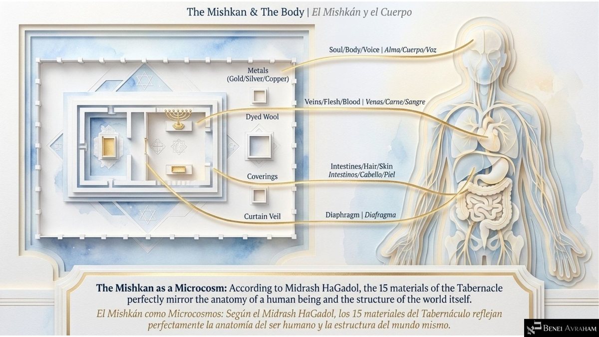 "The Mishkan & The Body": a paper-cut floor plan of the Tabernacle joined by gold threads to a human figure, matching "Metals" to "Soul/Body/Voice," "Dyed Wool" to "Veins/Flesh/Blood," "Coverings" to "Intestines/Hair/Skin" and the "Curtain Veil" to the "Diaphragm." Caption: "The Mishkan as a Microcosm."